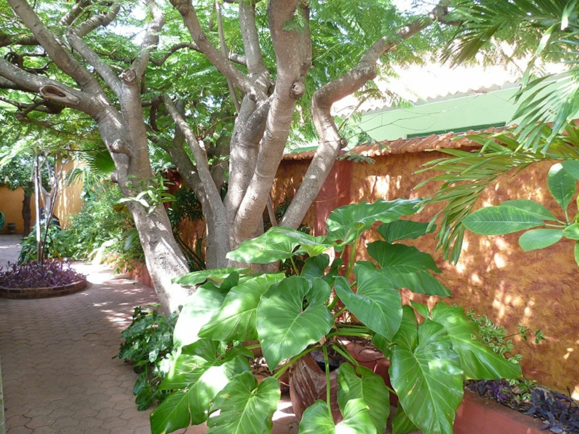 Flamboyant Garden Villas Oranjestad Exterior photo